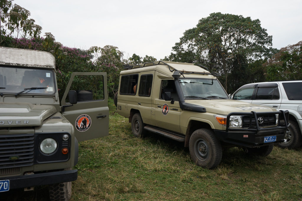 VIRUNGA NATIONAL PARK