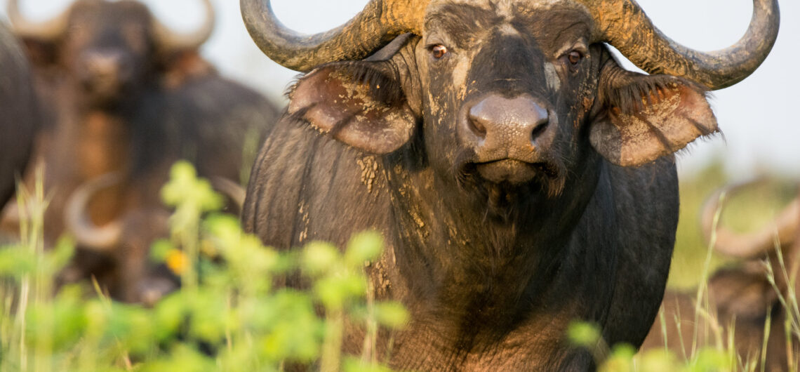 Serengeti National Park