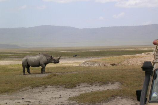 Ngorongoro Crater