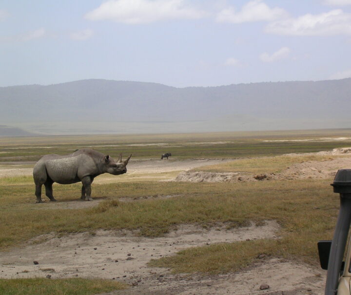 Ngorongoro Crater